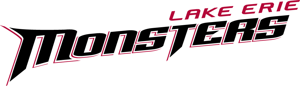Lake Erie Monsters 2007-2012 Wordmark Logo iron on heat transfer